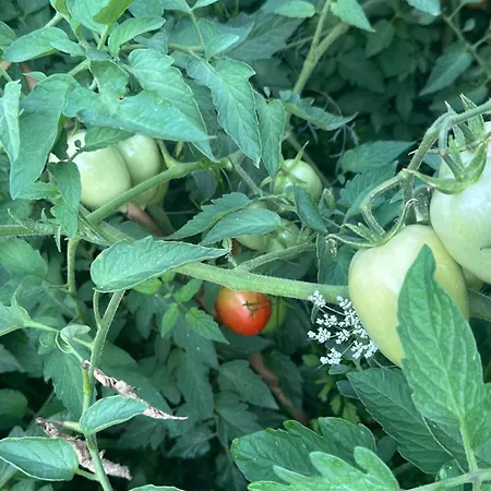 Hi Della Pace Auberge de jeunesse Assise