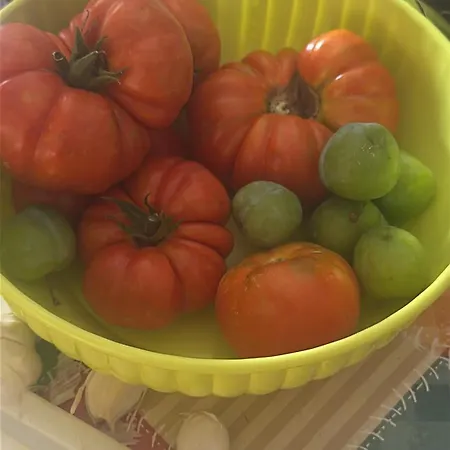 Hi Della Pace Auberge de jeunesse