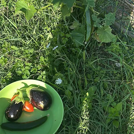 Hi Della Pace Auberge de jeunesse