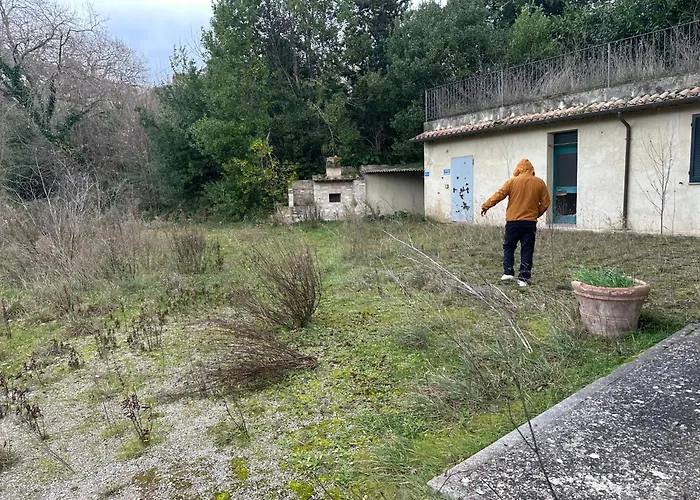 Hi Della Pace Assisi