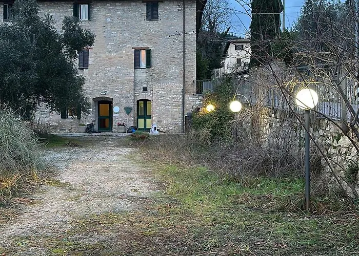 Hi Della Pace * Asyż