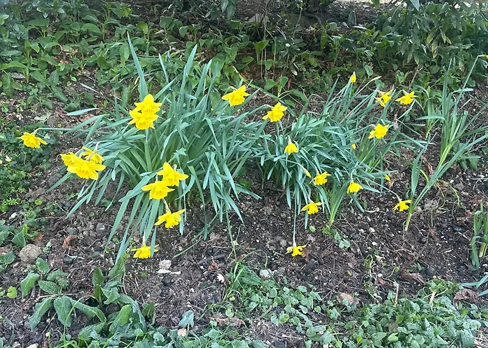 Hostel Hi Della Pace