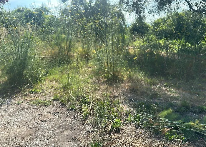 Hi Della Pace Hostel