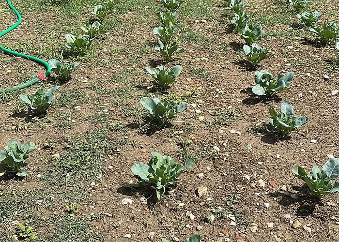 Hostel Hi Della Pace Asyż