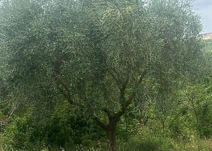 Hi Della Pace Hostel