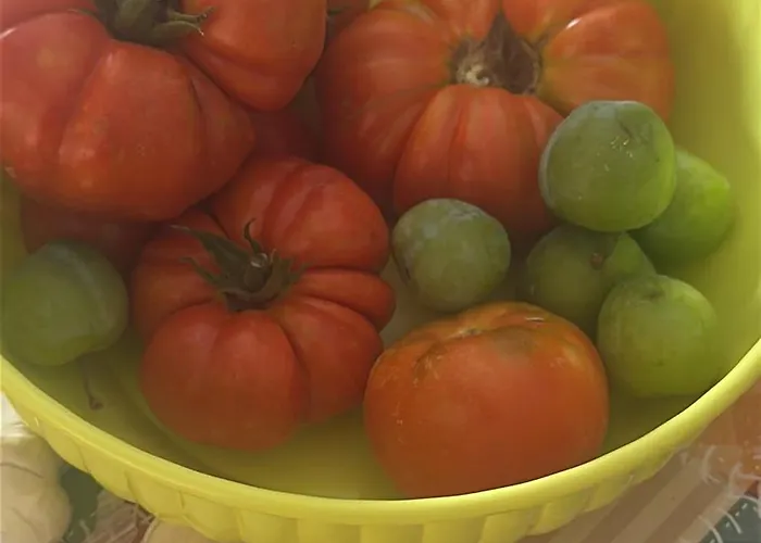 Hi Della Pace Hostel