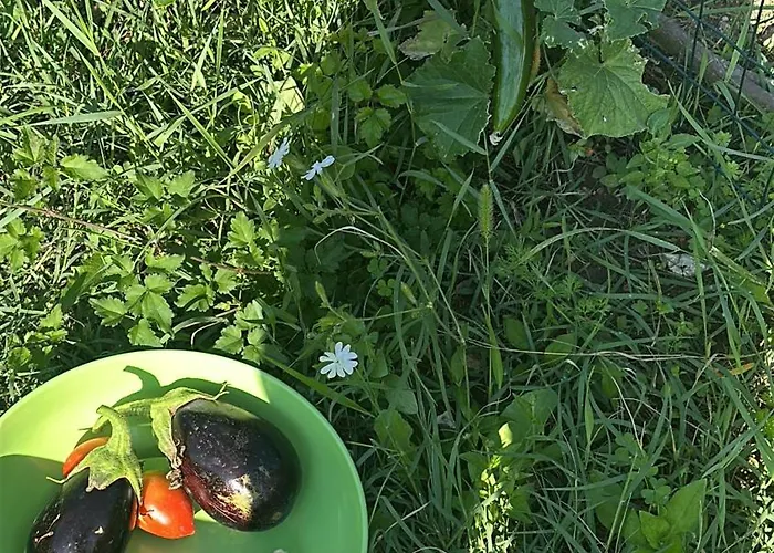 Hi Della Pace Hostel