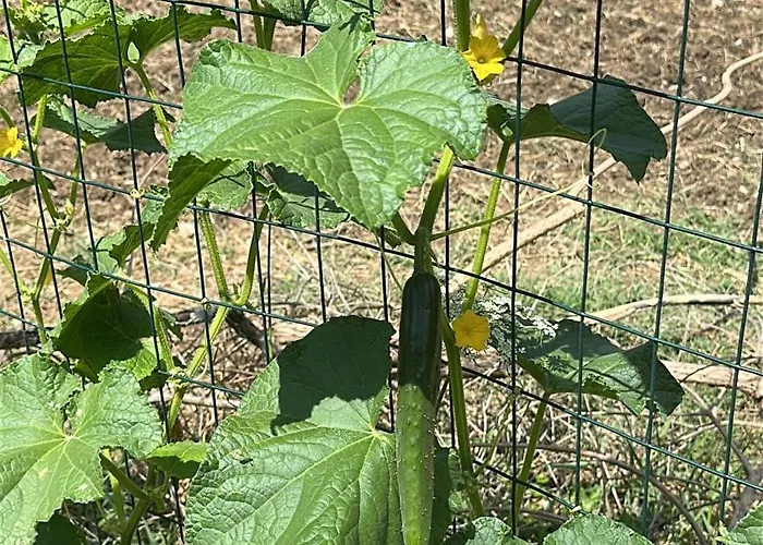 Hi Della Pace Hostel