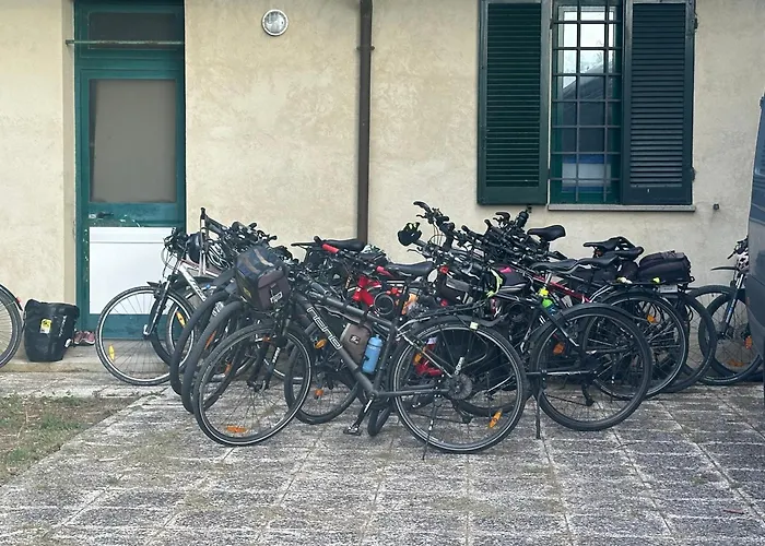 Hi Della Pace Assisi