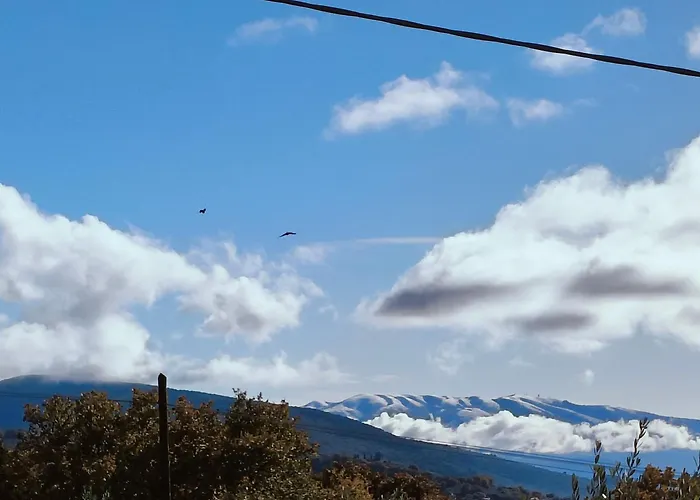 Hi Della Pace Hostel Asyż