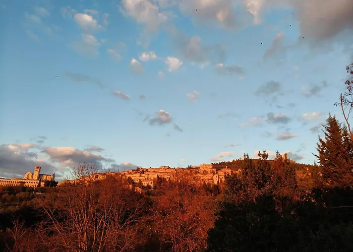 Hi Della Pace * Assisi